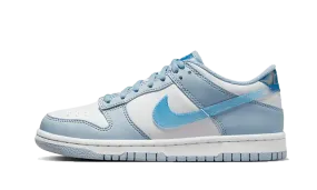 Nike Dunk Low Hologram