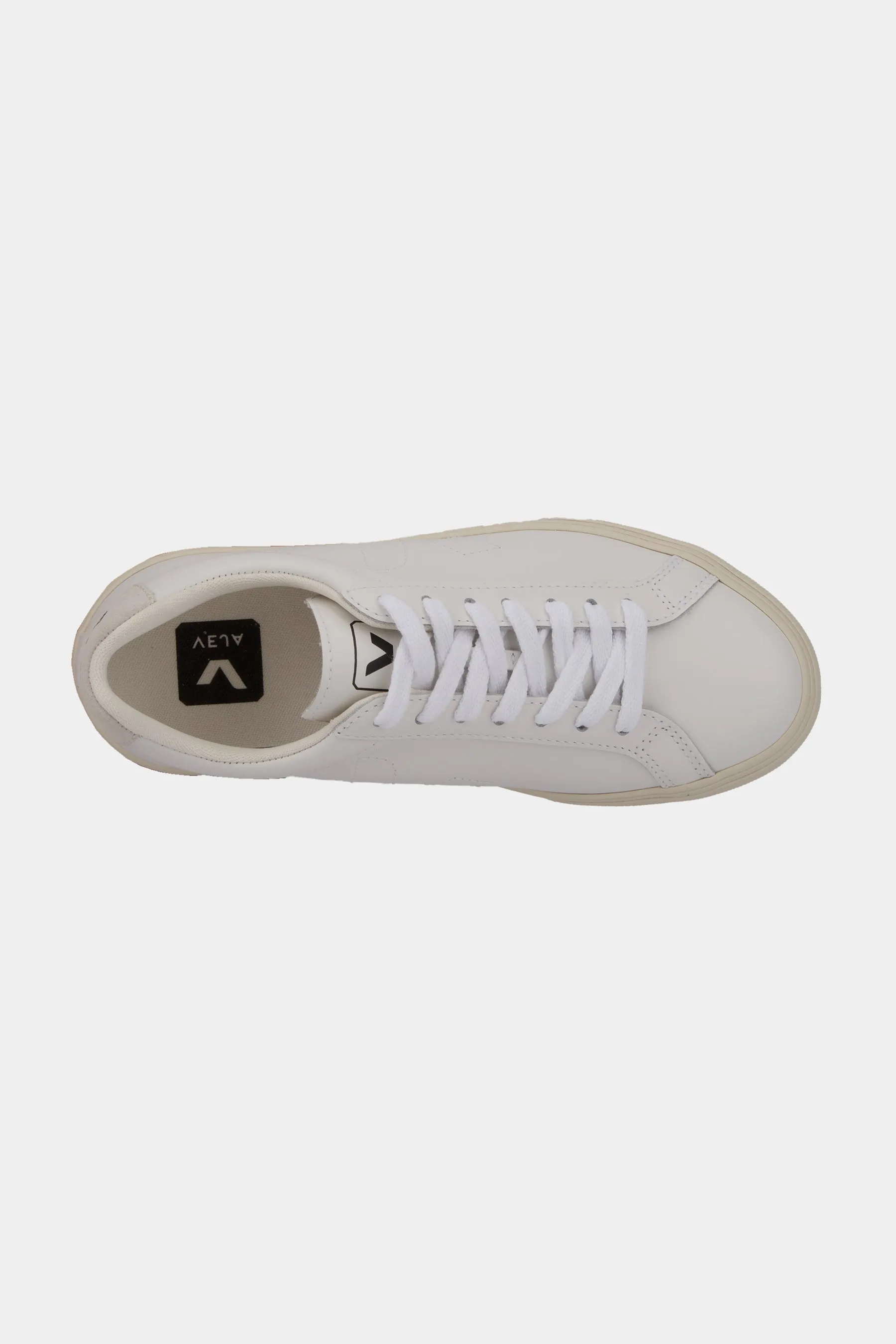 Veja Esplar Low Top Sneaker